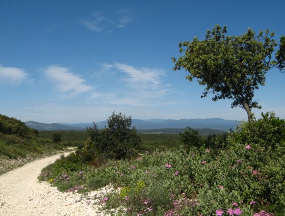 A la croisée des chemins